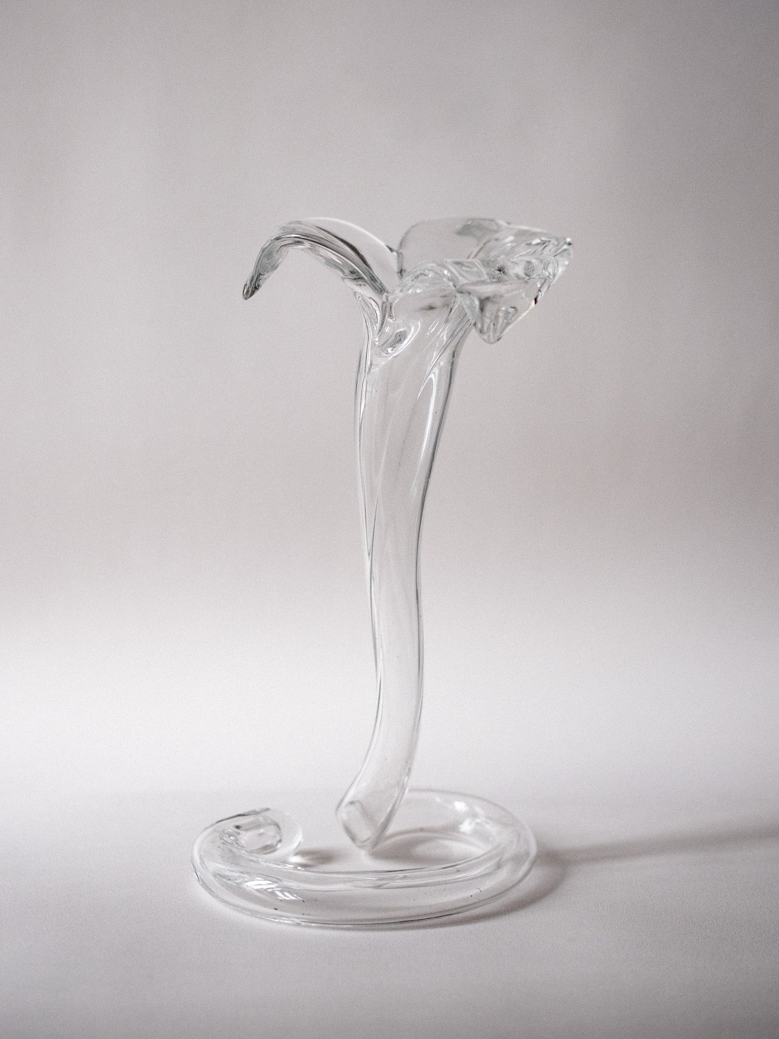 Glass Trumpet Tulip Vase