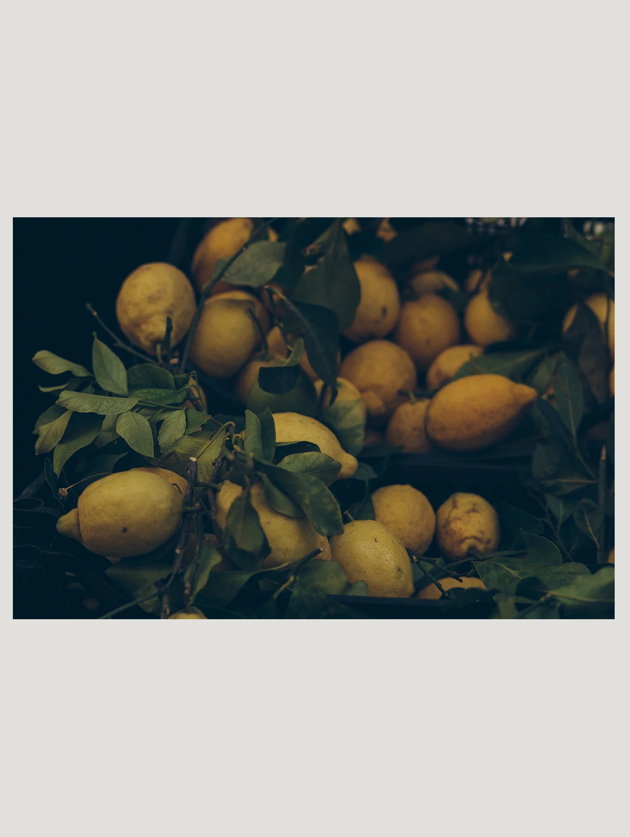 Napoli 7