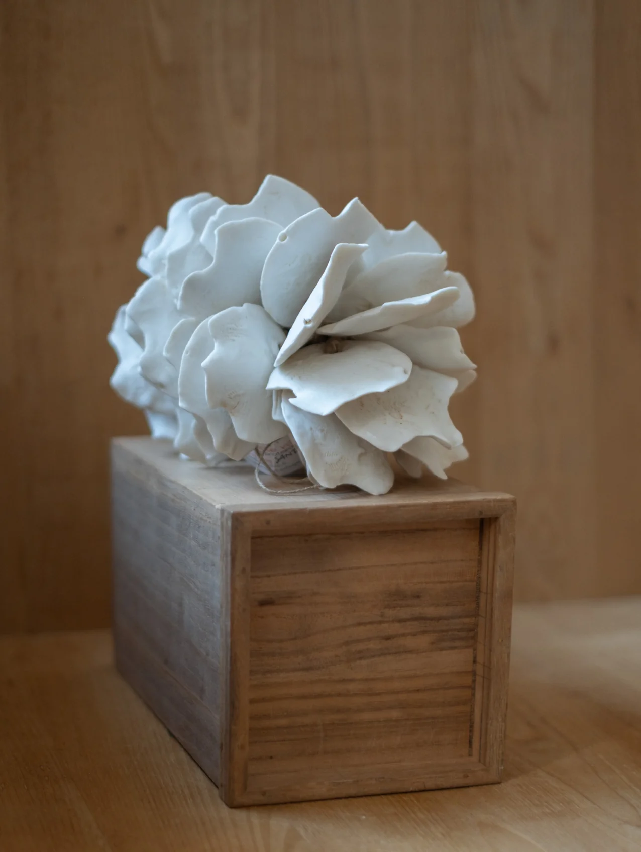 Sandt Anthos - Image 4