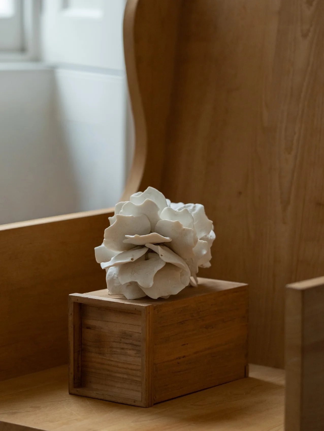 Sandt Anthos - Image 5